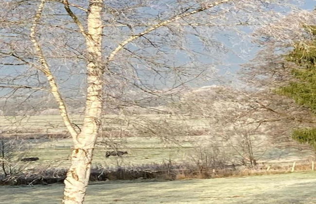 Stylish Stay With Pool, Jalhay - Foto 27