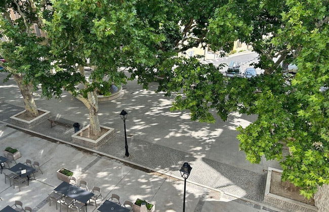 Sous les platanes - Foto 1