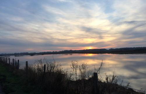 La Terrasse - Foto 14