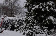 Ferienwohnung Sonnenblume mit Sauna - Foto 30