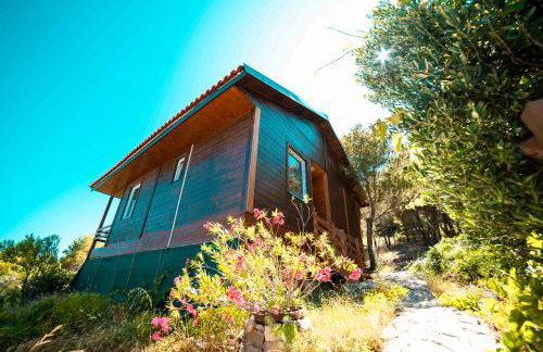 Marepromo Žirje - Foto 20