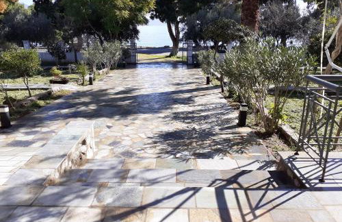 Elea Guesthouse - Photo 8