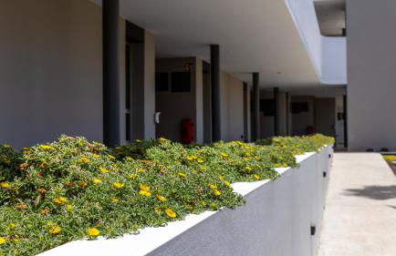 Calm Beach Apartments - Photo 30