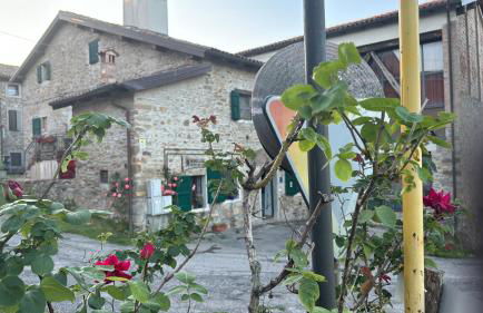 La Corte dei Celti - Foto 48