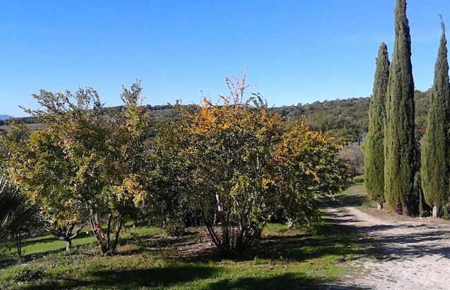 Agriturismo Campo al Crognolo - Photo 21