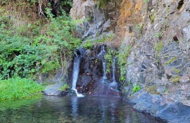 Free Spirit - Photo 7