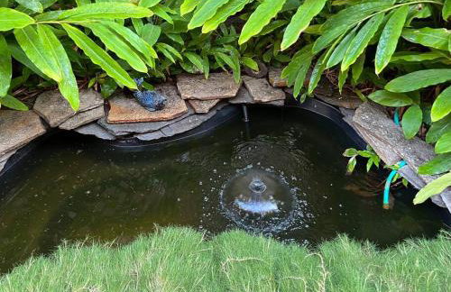 Manuel Y Sonia-La casa de los Angeles - Foto 22