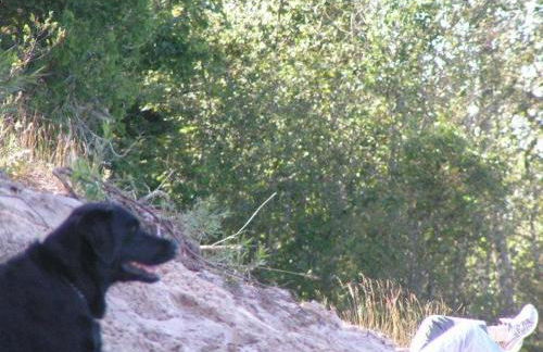 Northern Lights-Lake Michigan - Foto 14