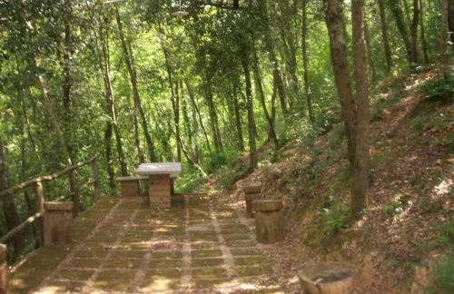 AgriHouse Orvieto - Foto 26