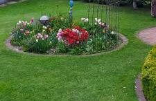 Havel-Pension Kruse - Photo 3