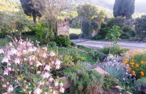 PERGOLA at Le Pietraie a cottage with many flowers - Foto 29
