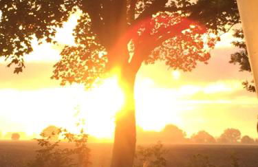 Bielenberg 37 - Foto 30