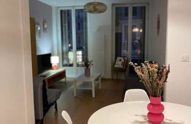 Mulhouse hyper centre - Grand T3- Aux bons enfants - Foto 8