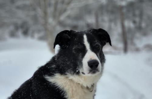 Gîte Terre - 1-4 pers, à 20 mins de Vulcania et du Puy-de-Dôme, 35 mins du Sancy - Foto 40