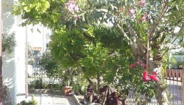 RITA'S ROOM ON THE SEA - Foto 5, Garden