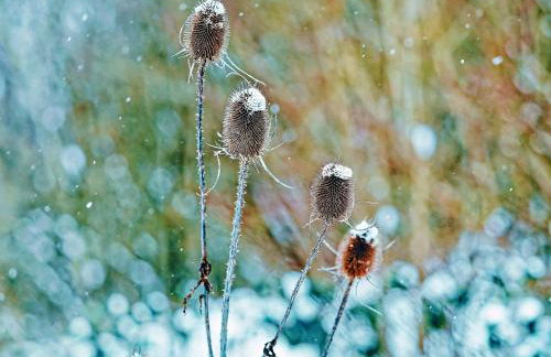 Ferienwohnung Schlossblick Schillingsfürst - Foto 6