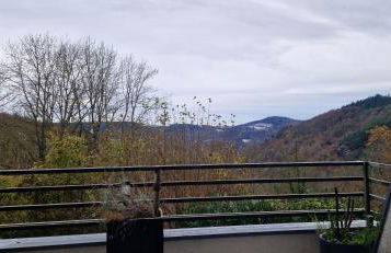 Panorama Eifel View - Foto 20