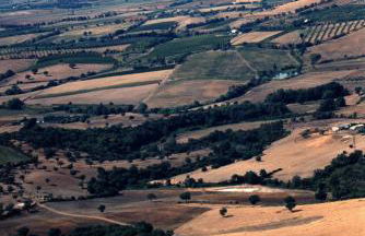 I Puntoni Agriturismo - Foto 62