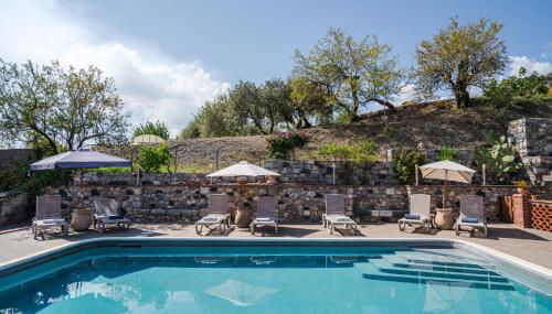 The Lemon Tree - Foto 1