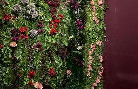 Suite mit Whirlpool, Sauna, Pole Dance und mehr - Foto 35