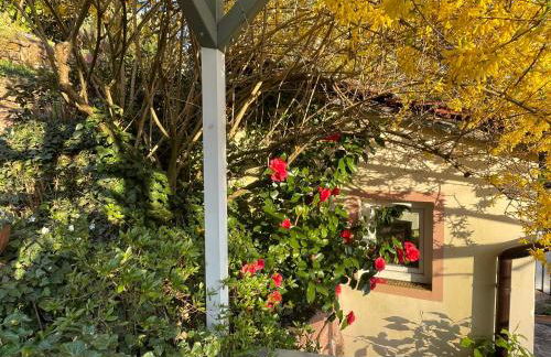 Am Berggarten - Foto 6