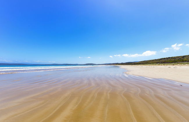 Cloudy Bay Cabin - Photo 10