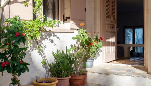 Eklekti House - Foto 2, Garden view