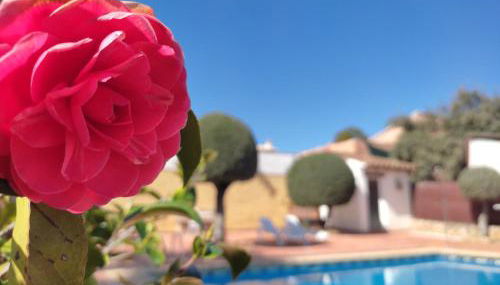 Casa Maleda - Foto 5