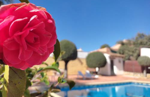 Casa Maleda - Foto 5