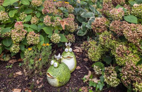 Die Ferienwohnung - Photo 5