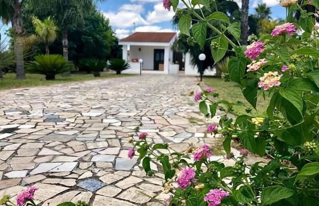 Affittacamere Paduli Piani - Photo 29