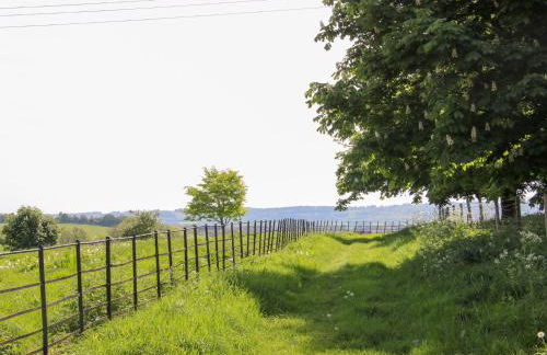 The Chestnuts - Foto 35