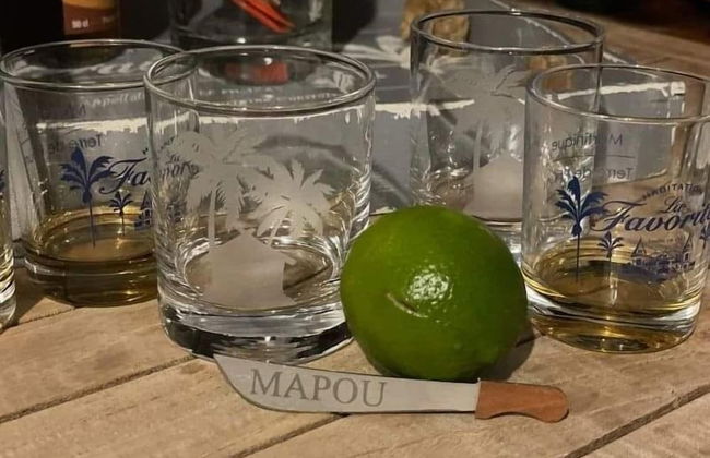 DOMAINE DE MAPOU - Photo 41