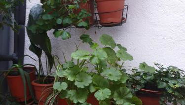 CENTRO MADRID, Las Letras - Foto 5