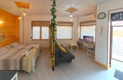 Estudio Mota - Foto 14