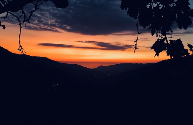 Agriturismo Don Cesarino - Photo 68