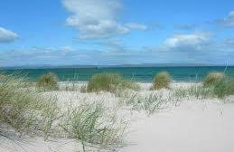 Ard Garraidh - Photo 24