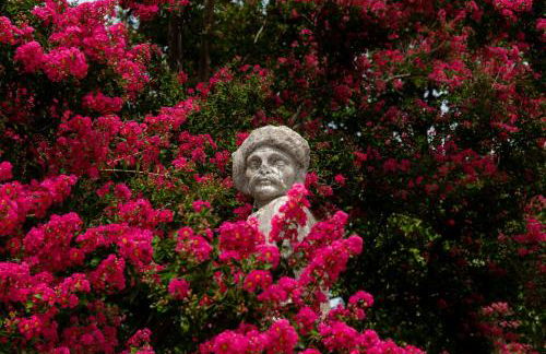 Castello di Roncade - Foto 13