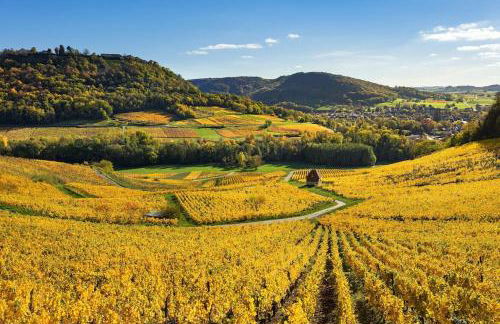 L'Alambic à Martial - Foto 17