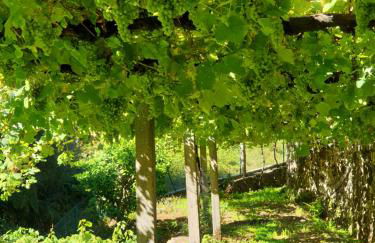 Quinta da Vinha Velha - Foto 63