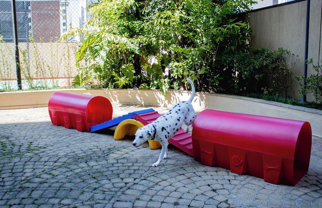 Roomo Transamerica SP Bela Cintra - Foto 36