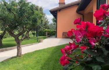 Il giardino delle rose - Foto 2