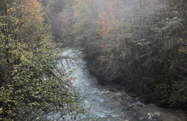 Sous le Tilleul - Foto 22