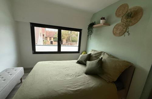 Full House, Jacuzzi, Netflix, 8 pers, free Parking 10' Colmar - Foto 5