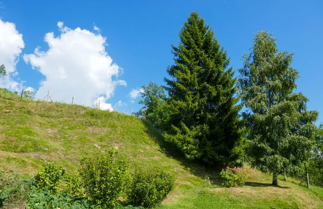 Rustico Girasole - Foto 21