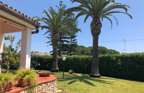 Le tre Palme - Foto 37