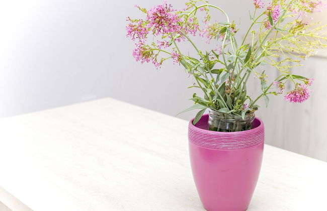 Apartments Mezini 11 - Foto 16