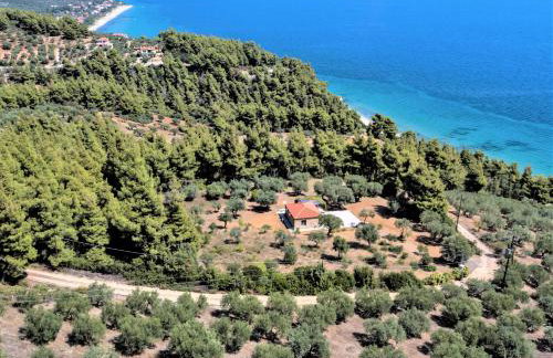 The Ideal Secluded Retreat - Foto 26