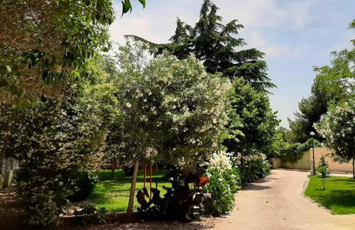 VILLA AFRICA - Foto 51