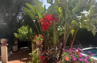 Très beau Studio lumineux dans Villa avec piscine - Foto 21